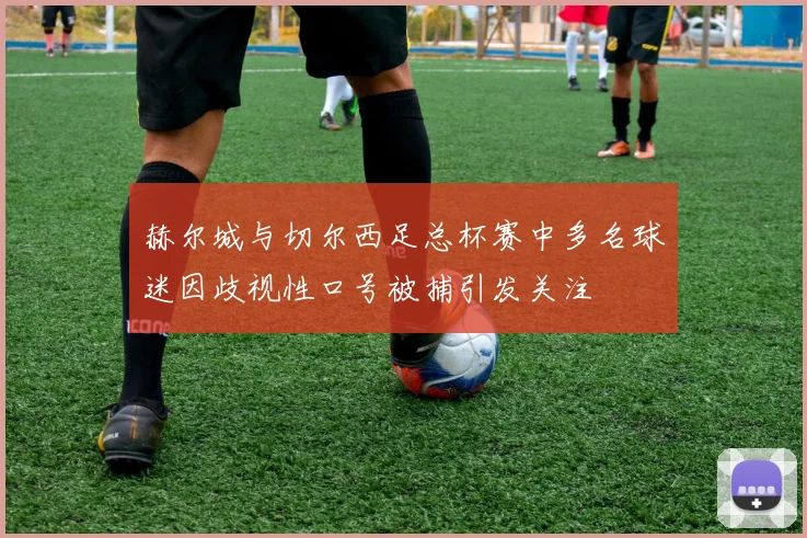 赫尔城与切尔西足总杯赛中多名球迷因歧视性口号被捕引发关注