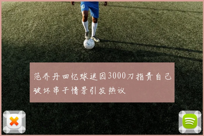 范乔丹回忆球迷因3000刀指责自己破坏串子情景引发热议